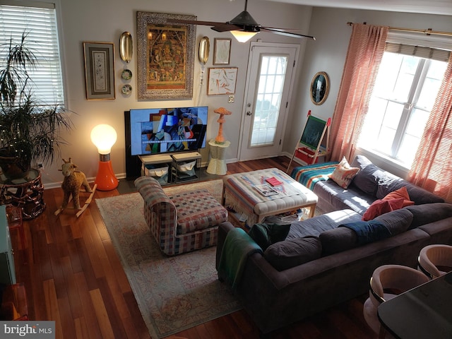 living room with wood-type flooring and ceiling fan