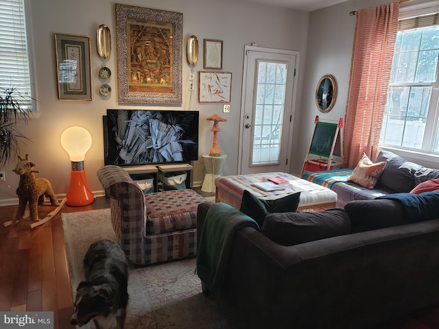 living room featuring wood-type flooring