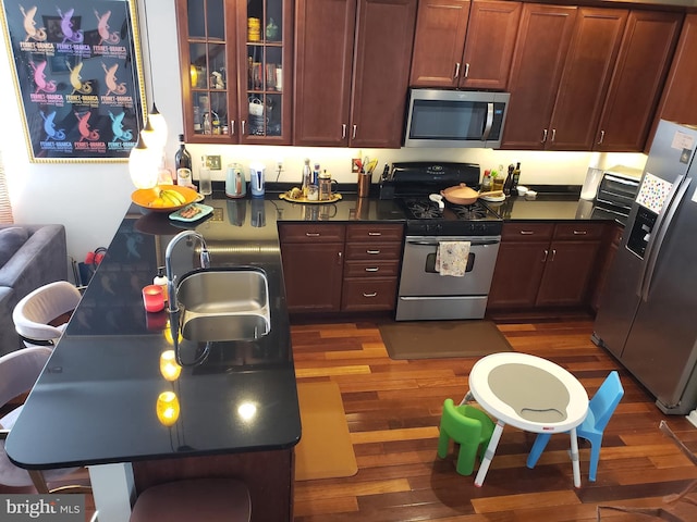 kitchen with sink, appliances with stainless steel finishes, and dark hardwood / wood-style flooring