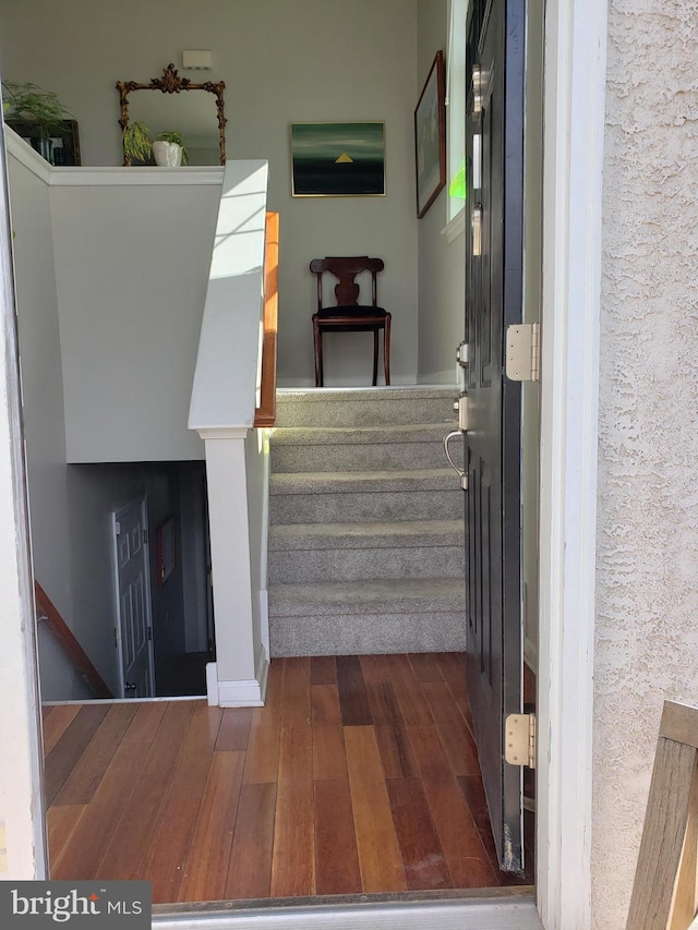 stairs with hardwood / wood-style flooring