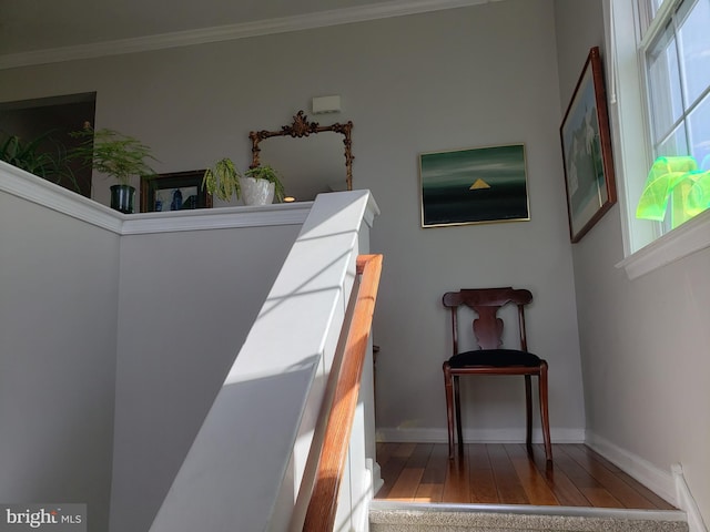 interior space featuring ornamental molding and hardwood / wood-style floors