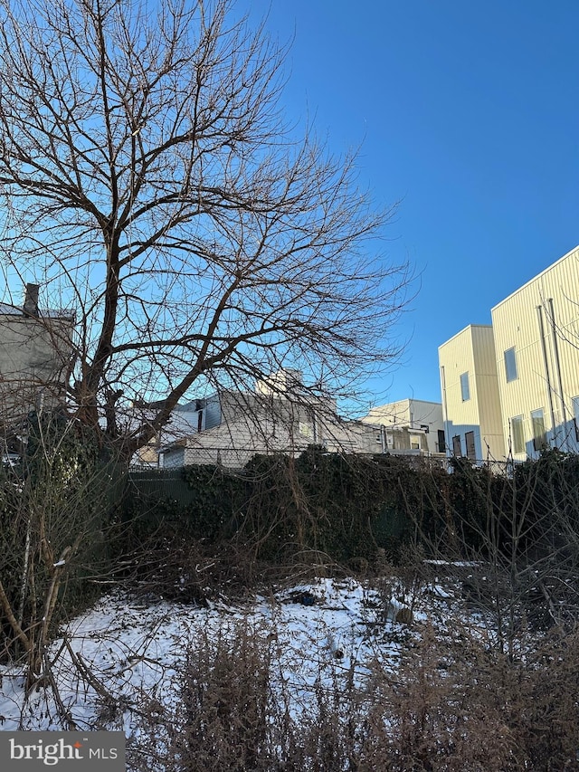 view of yard covered in snow