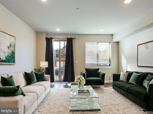 living room featuring light hardwood / wood-style floors