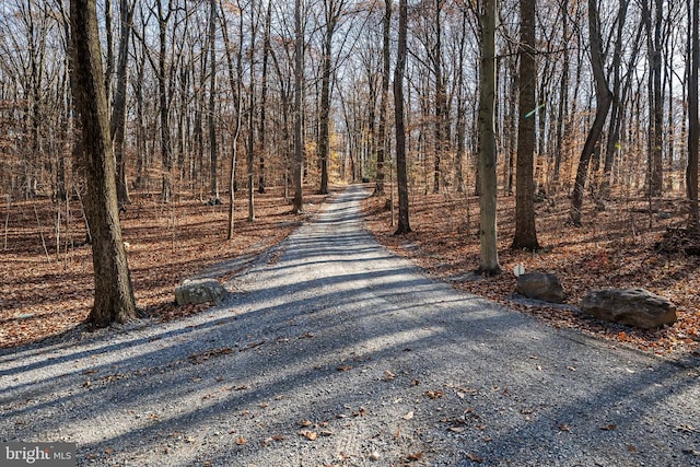 view of road