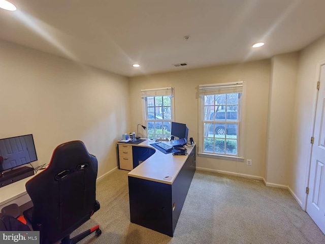 office space featuring a wealth of natural light and carpet floors