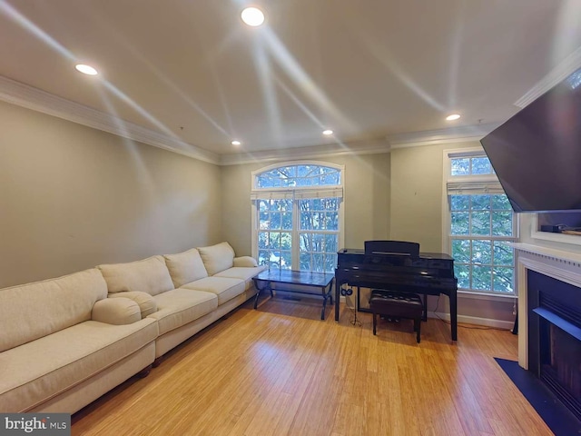 living room featuring ornamental molding and light hardwood / wood-style floors