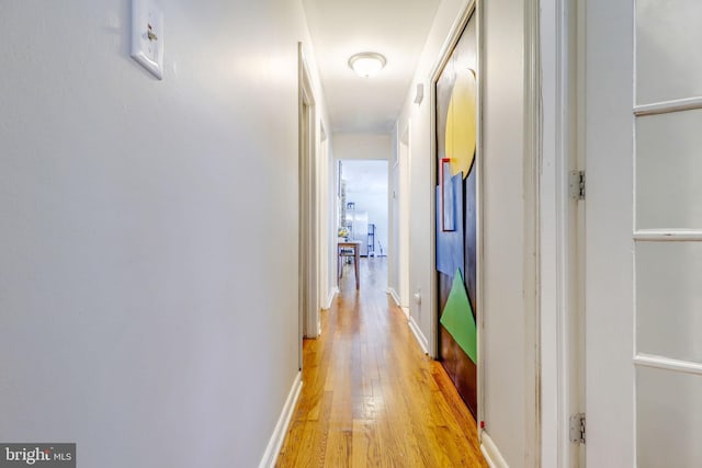 hall with light hardwood / wood-style flooring