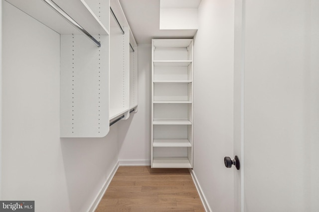 spacious closet featuring light hardwood / wood-style floors