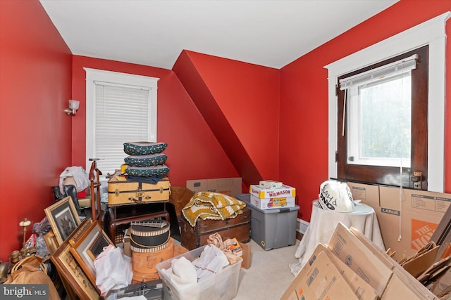 interior space with light colored carpet