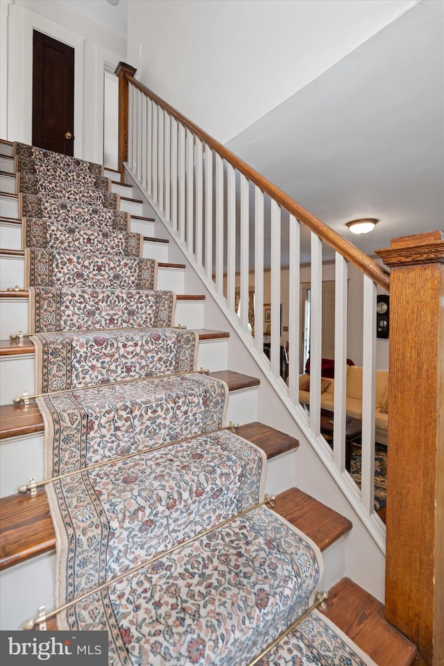 staircase featuring hardwood / wood-style flooring