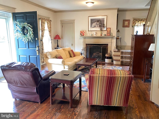 living room featuring a healthy amount of sunlight and dark hardwood / wood-style flooring