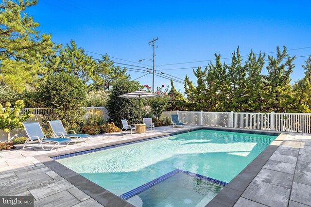 view of swimming pool with a patio