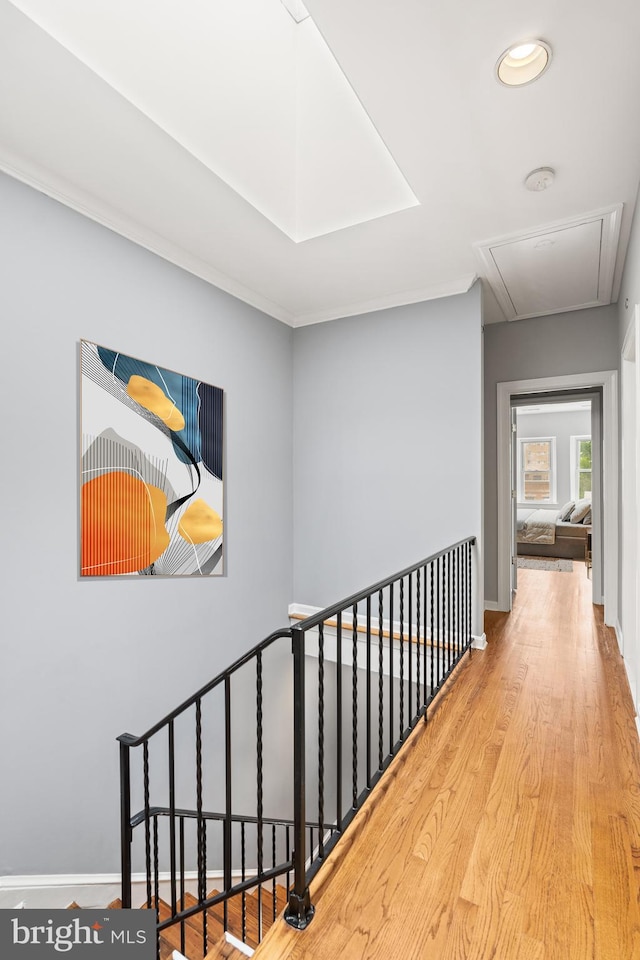 hallway with light hardwood / wood-style flooring