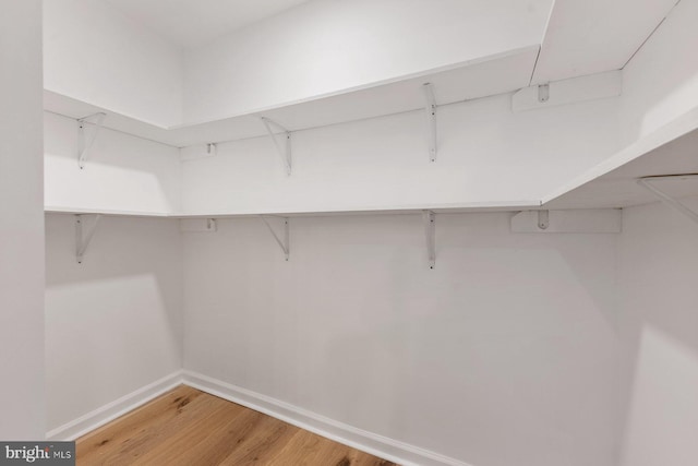 spacious closet featuring hardwood / wood-style floors