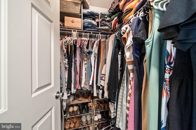 view of spacious closet