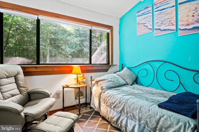 bedroom with lofted ceiling