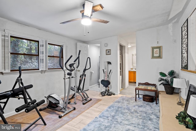 workout area featuring ceiling fan and light hardwood / wood-style floors