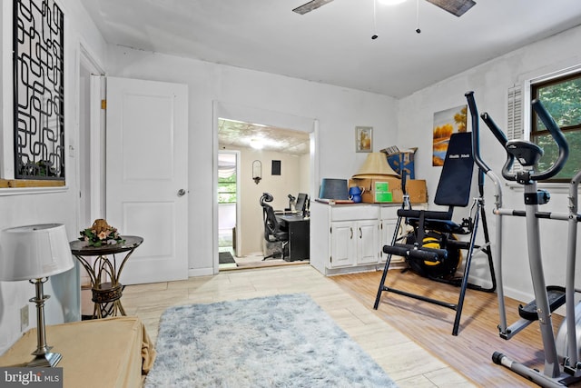 workout room featuring a wealth of natural light, ceiling fan, and light hardwood / wood-style floors