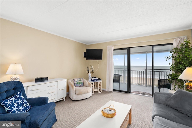 living room featuring light carpet and baseboards