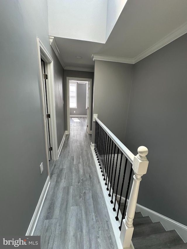 corridor with ornamental molding and hardwood / wood-style flooring