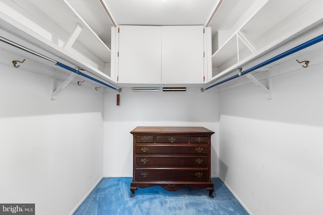 spacious closet featuring carpet floors