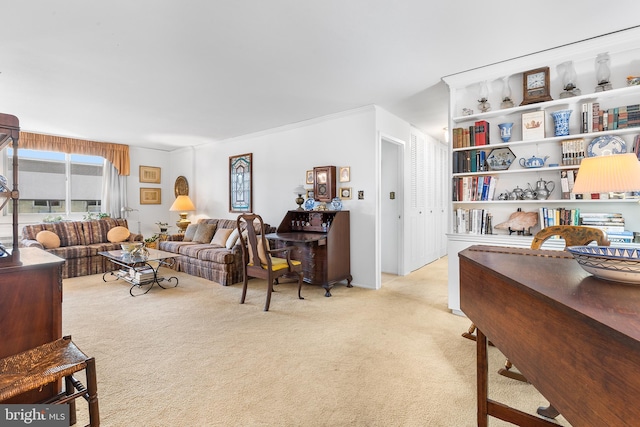 view of carpeted living room