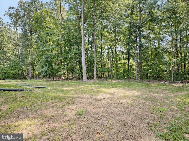 view of yard with a forest view