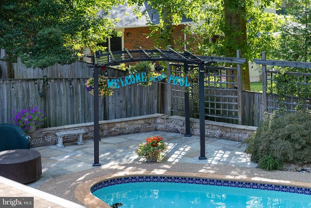 view of swimming pool featuring a patio area