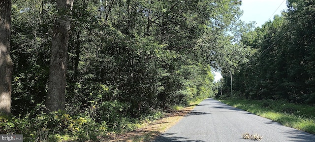 0 Jesterville Rd, Bivalve, MD 21814