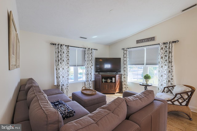 living room with vaulted ceiling, a wealth of natural light, and light wood-type flooring