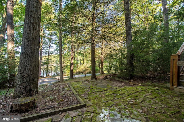 view of yard with a patio area