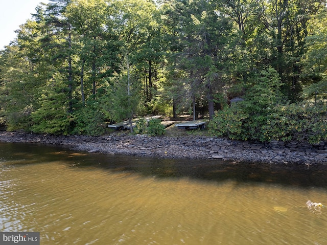 property view of water