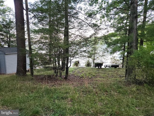 view of yard with a storage shed