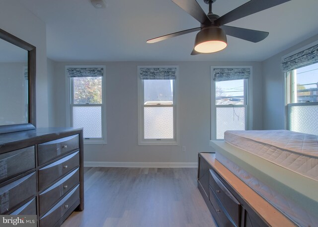 bedroom featuring dark wood-type flooring, multiple windows, and ceiling fan