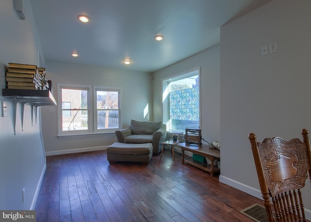 living area featuring dark hardwood / wood-style floors