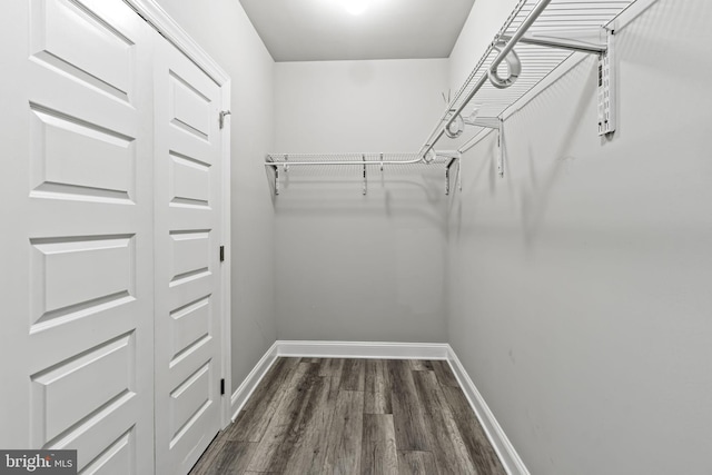 spacious closet with dark hardwood / wood-style floors