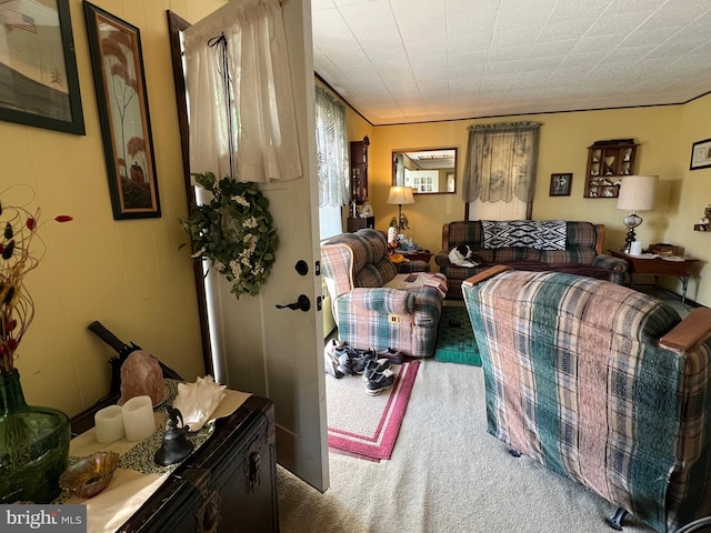 living room with carpet