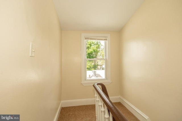 staircase featuring carpet flooring