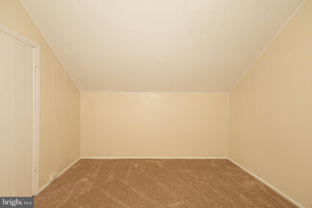 additional living space featuring light colored carpet and vaulted ceiling