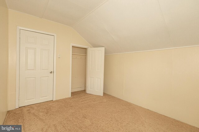 additional living space featuring vaulted ceiling and carpet