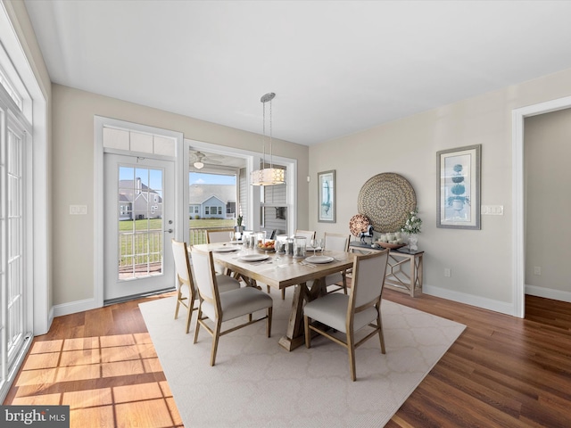 dining room with hardwood / wood-style flooring