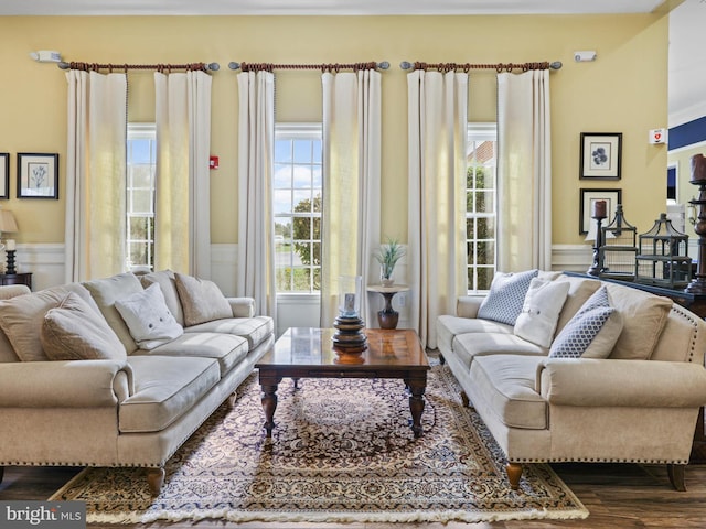 living room featuring dark hardwood / wood-style flooring