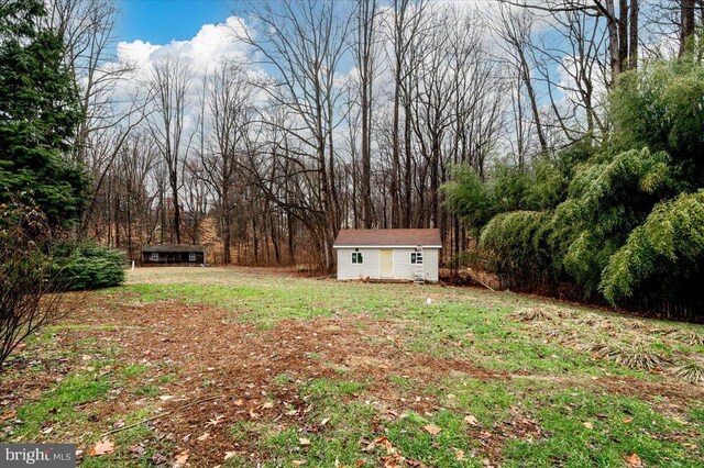 view of yard featuring a storage unit