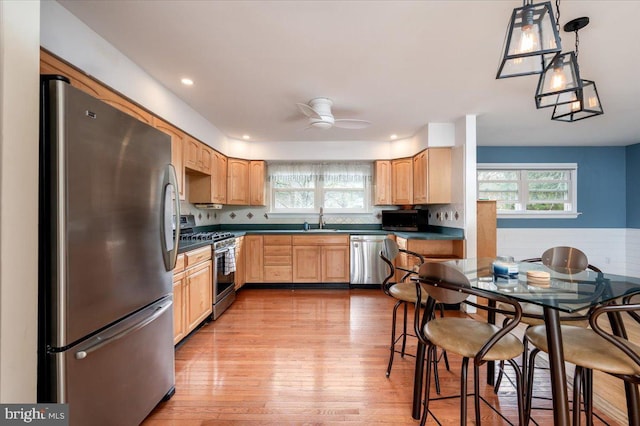 kitchen featuring decorative light fixtures, stainless steel appliances, a healthy amount of sunlight, and light wood-type flooring