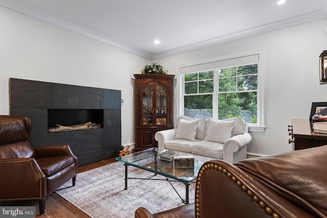 living room featuring a fireplace, dark hardwood / wood-style floors, and ornamental molding