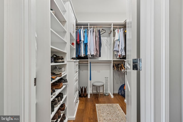 spacious closet featuring hardwood / wood-style floors