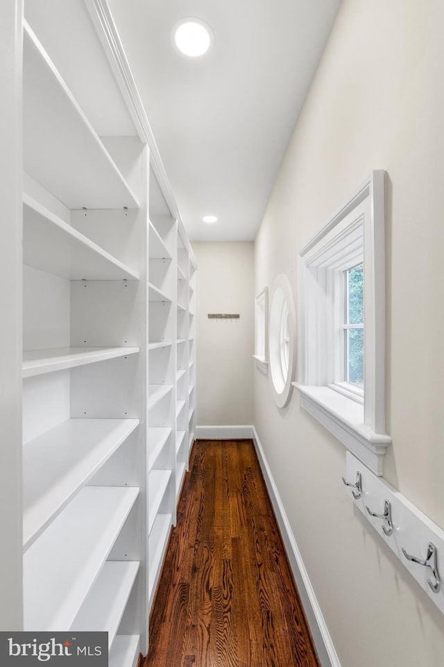 walk in closet featuring dark wood-style flooring