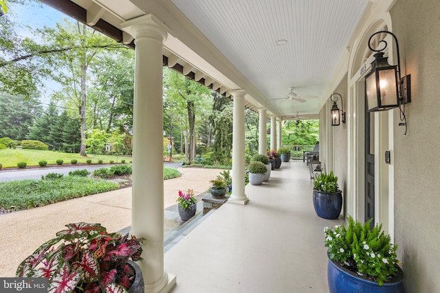 view of patio / terrace featuring covered porch and a ceiling fan