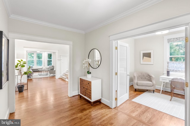 interior space with crown molding and light hardwood / wood-style flooring