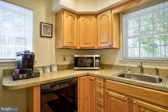 kitchen with stainless steel microwave, black dishwasher, a wealth of natural light, and a sink